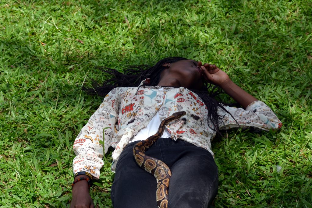 A lady and the Ball Python at one of the sessions held by Snakes Uganda
