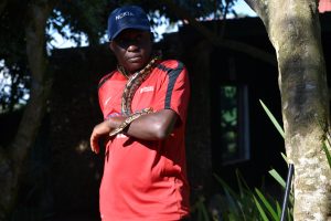 A Snakes Uganda professional snake handler holding a Ball Python